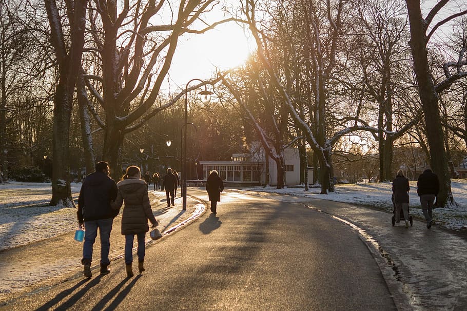 people, walking, road, trees, park, winter, cold, sun, sunny, city