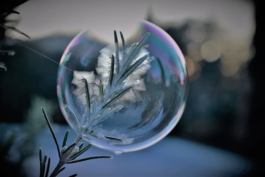 soap bubble, frozen, eiskristalle, winter, ice, bubble, ball, cold, frost, crystals