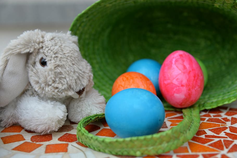 coelho, pelúcia, brinquedo, ao lado, ovos, cesta, coelhinho da páscoa, ovo, colorido, ovos de páscoa