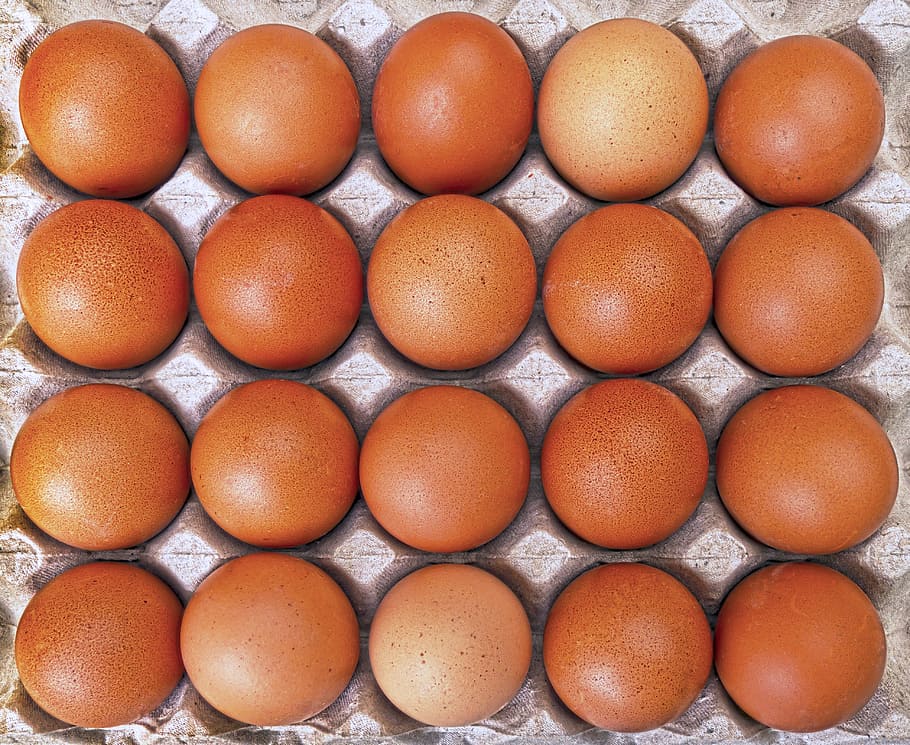 tray, organic, eggs, egg, range eggs, lots of eggs, loose, geflügelhof, self-marketing, market