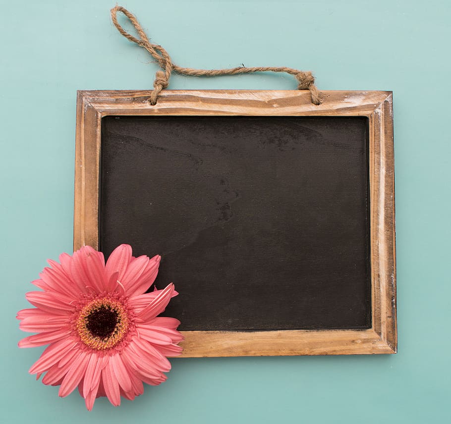 brown, black, chalkboard, flowers, background, blackboard, frame, wood - Material, blank, backgrounds