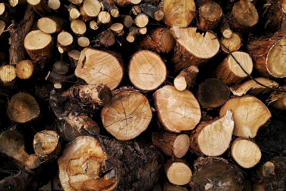 troncos de árboles de madera, bosque, picado, madera, árbol, troncos, naturaleza, natural, madera - industria maderera, pila
