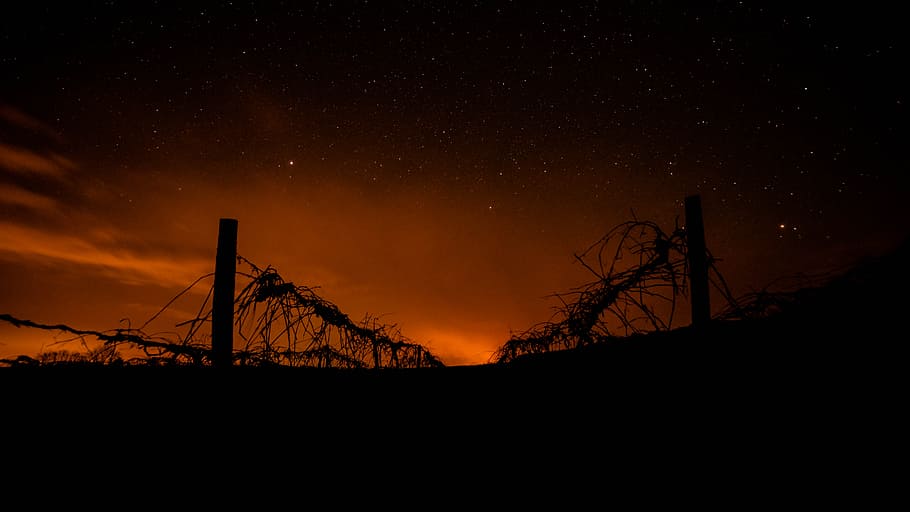 grapevine fires, vineyard night, sky, silhouette, night, star - space, scenics - nature, beauty in nature, space, astronomy
