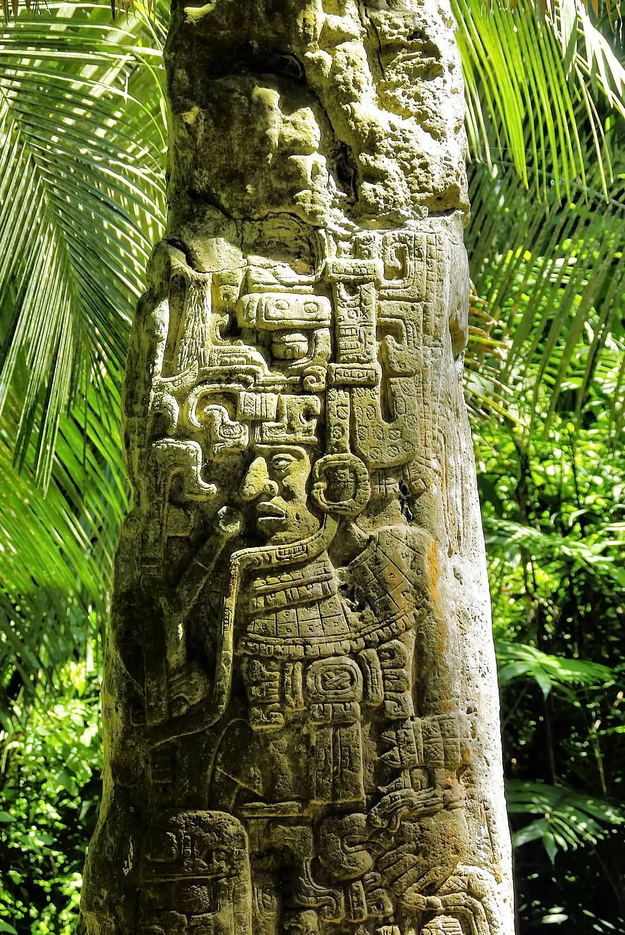 guatemala, ceiba, sayaxche, stone, maya, rainforest, ruins, archaeology, art and craft, religion