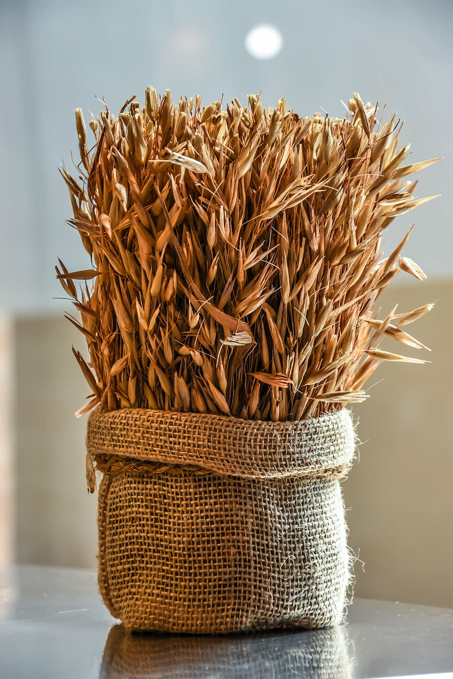 bag of paddy, wheat, grain, agriculture, harvest, food, seed, bread, cereal, plant