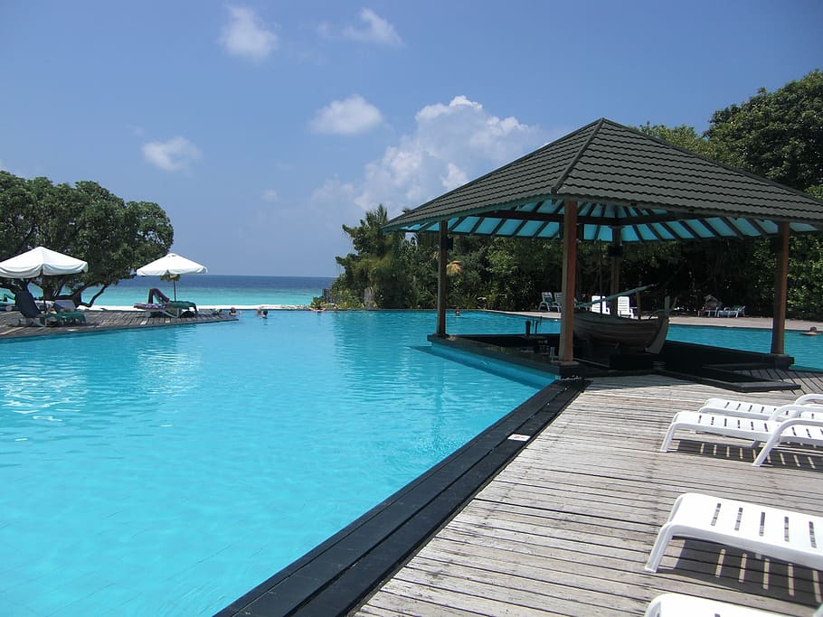 negro, gris, resort, maldivas, piscina, mar del sur, silencio, vacaciones, isla, relajarse