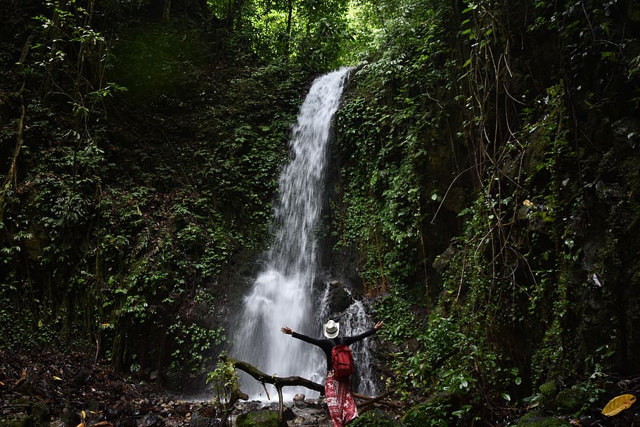 waterfall, jungle, nature, green, earth, pure, solo, traveler, indonesia, tree