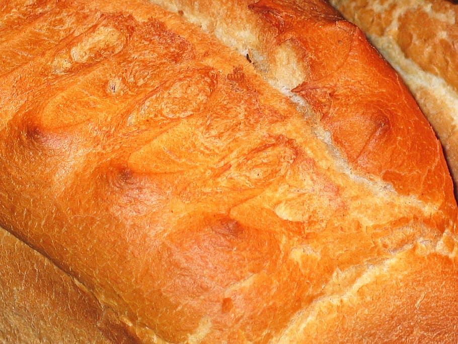 pan de trigo, pan, alimentos, corteza, corteza de pan, alimentos básicos, desayuno, horneado, pan blanco, comer