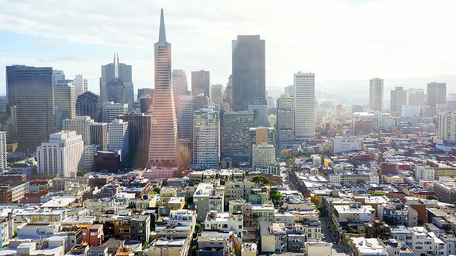 high-rise buildings, san francisco, cityscape, transamerica pyramid, california, america, usa, view, panorama, urban