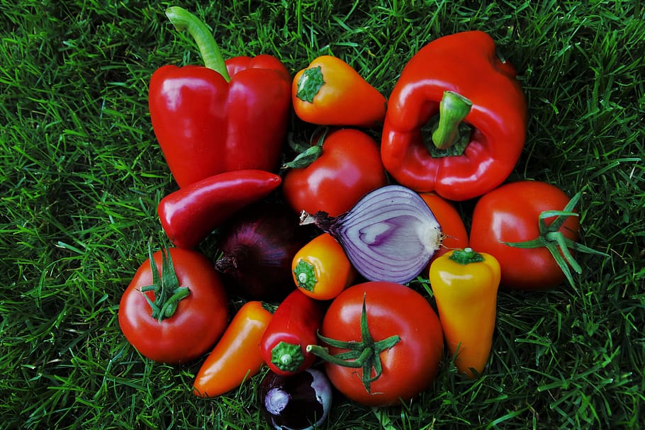 paprika, vegetables, red, fresh, food, sweet peppers, the richness of, healthy food, green, closeup