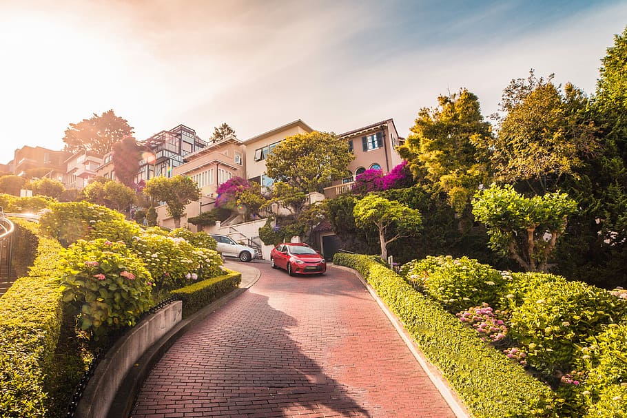 carros, descendente, Lombard Street, São Francisco, Califórnia, motoristas, condução, colinas, casas, icônico
