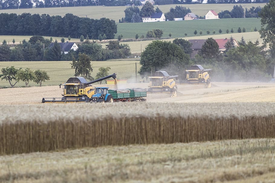 agriculture, harvest, combine harvester, saxony, plant, tree, agricultural machinery, land, field, machinery
