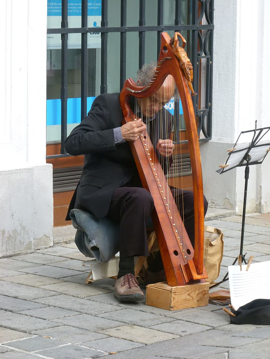 Bratislava, Street Musician, Harp, one man only, one person, only men, adult, adults only, mature adult, sitting