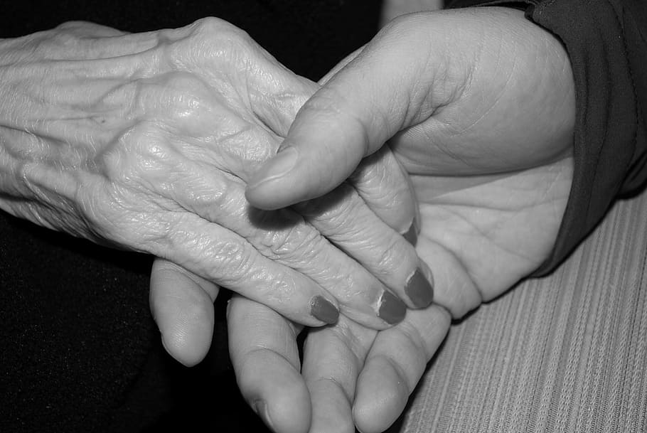 two, hands, holding, close, photography, two hands, aged, elderly, old, senior