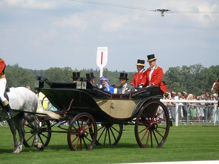 Ascot, Queen, Horse, England, Uk, monarchy, carriage, royal, family, transportation