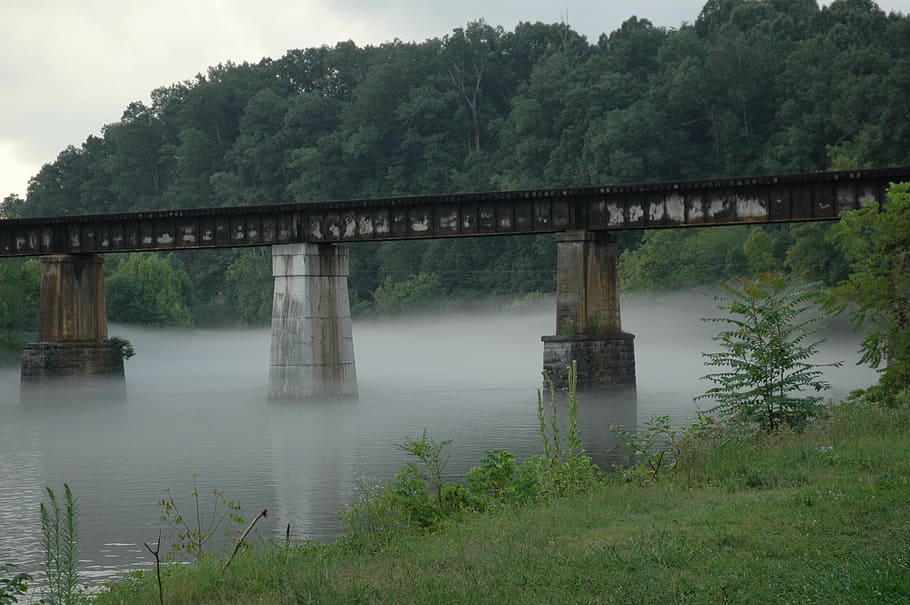 bridge, railroad trestle, river, tennessee, fog, mountains, tree, plant, connection, water