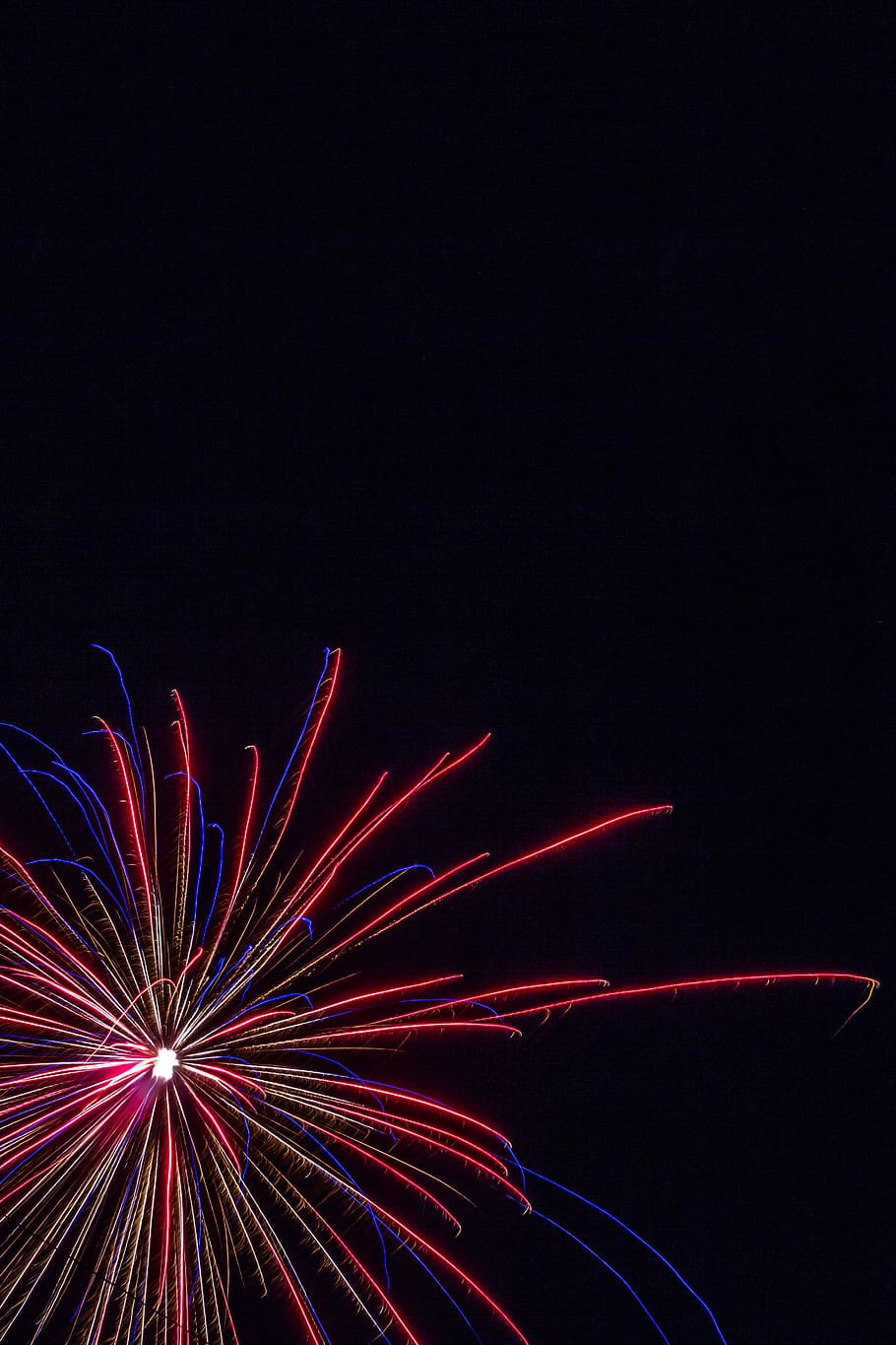 timelapse photo, fireworks, starburst, celebration, 4th july, decoration, burst, star, sparkle, explosion