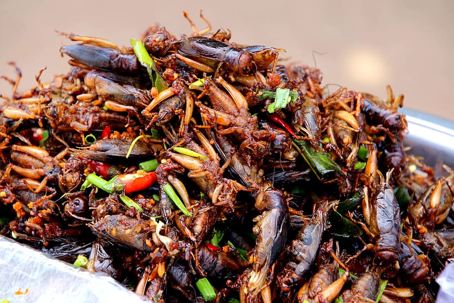 cockroaches, salad, chili, spring onions, cambodia, phnom pen, red, eat, food, close up