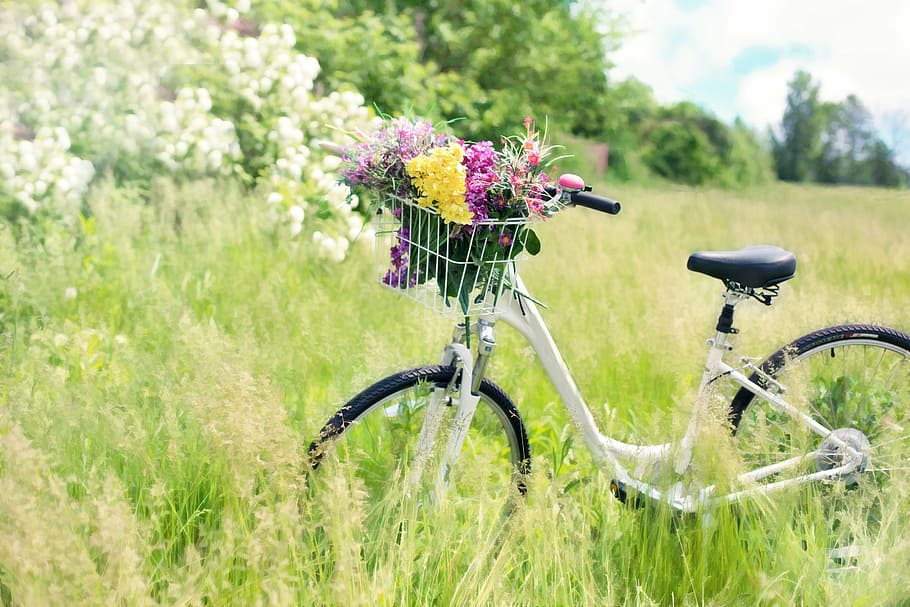 flower, bicycle, grasses, meadow, flowers, grass, bike, spring, green, countryside