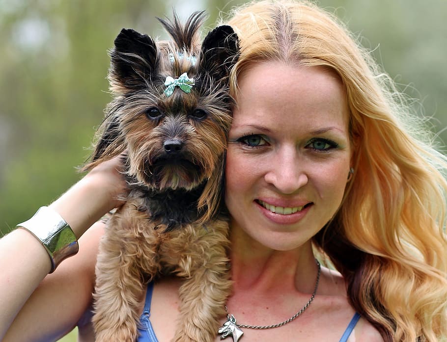 yorkie, blonde woman, facial, love, dog, portrait, canine, domestic, one animal, domestic animals