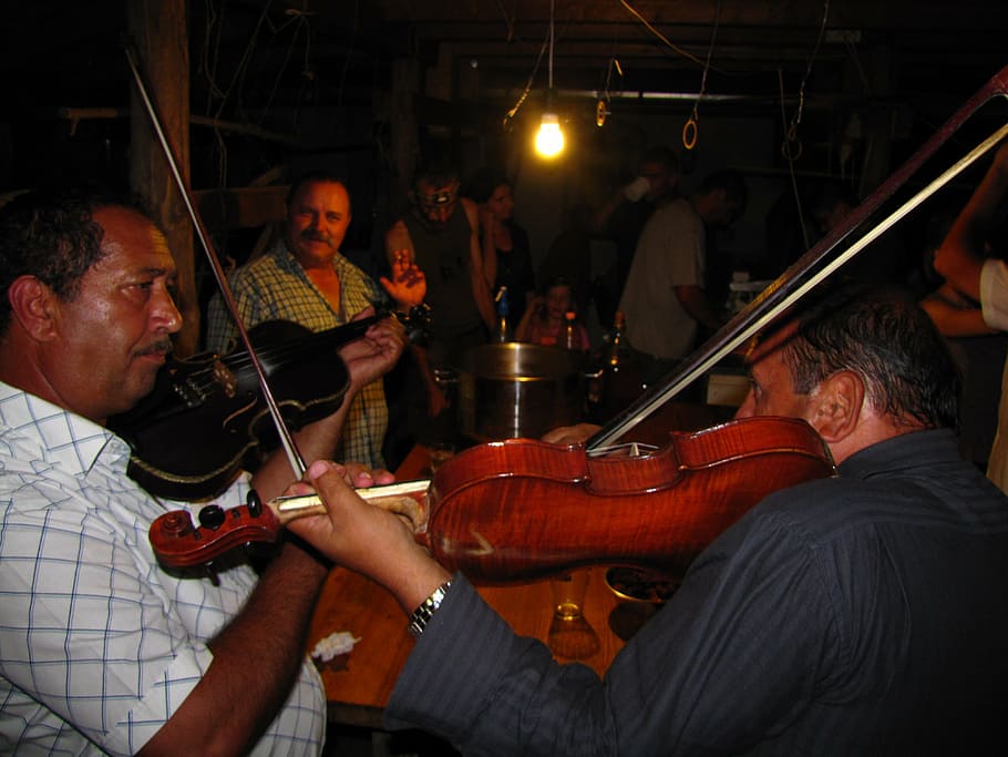 violin, music, musician, plays music, revel, party, performance, arts culture and entertainment, group of people, musical instrument