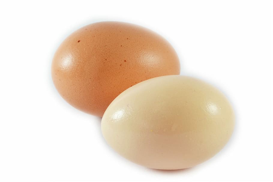 Ovos, Comida, Proteína, Refeições, Saboroso, omelete, Sri Lanka, Ceilão, Mawanella, fundo branco