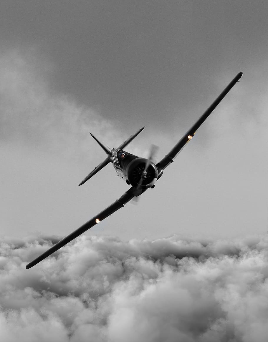 black, aircraft, clouds, grey, rain, crap weather, stunt, pilot, flight, single-engine