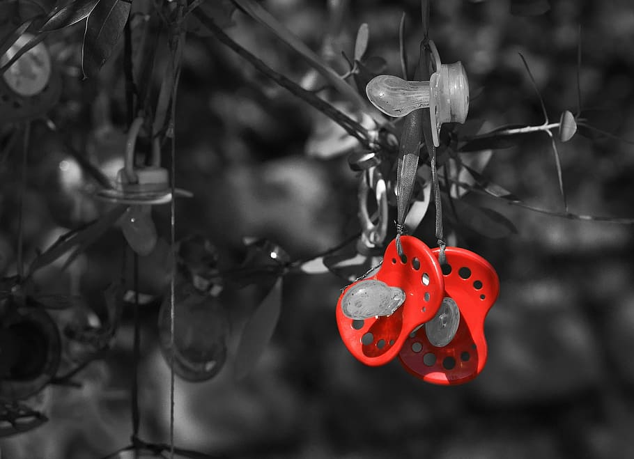 pacifier, pacifier tree, tradition, red, baby, calming, park, ck, focus on foreground, close-up