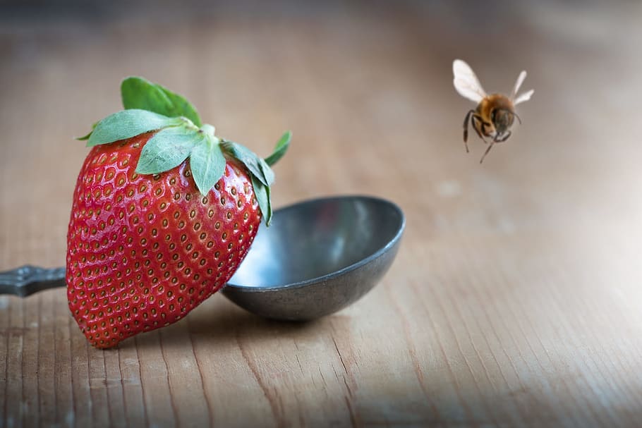 red, strawberry, honeybee, ripe, healthy, delicious, natural product, sweet, food, fruit