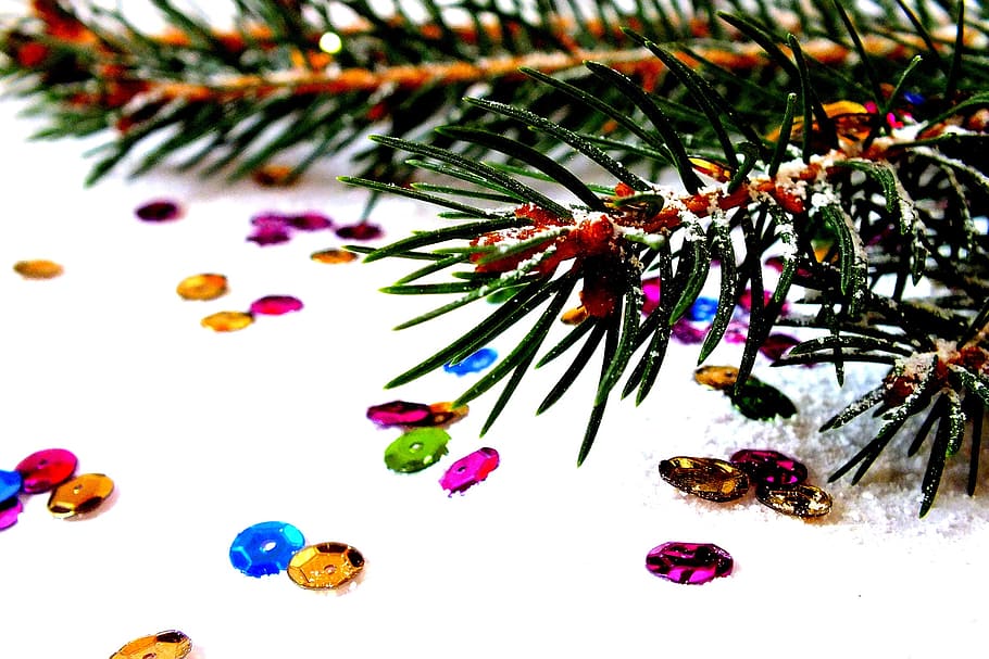 multicolored, sequins, pine boughs, spruce, photos of christmas, christmas, christmas eve, christmas tree, snow, snowflake