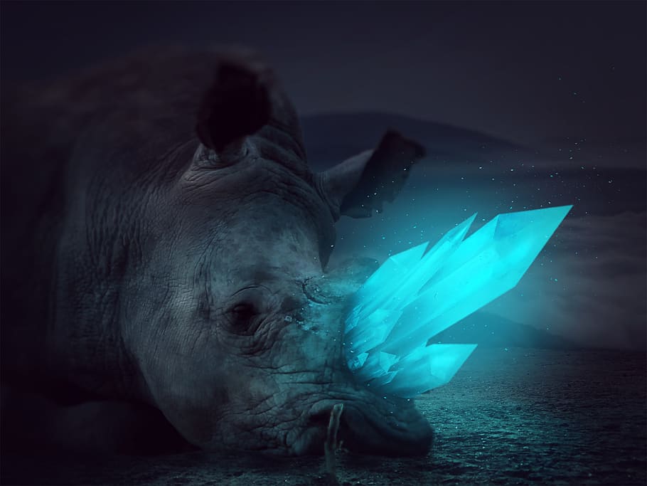 rhino, sad, save earth planet, crystal, dark, animal, glow, animal themes, one animal, animal wildlife