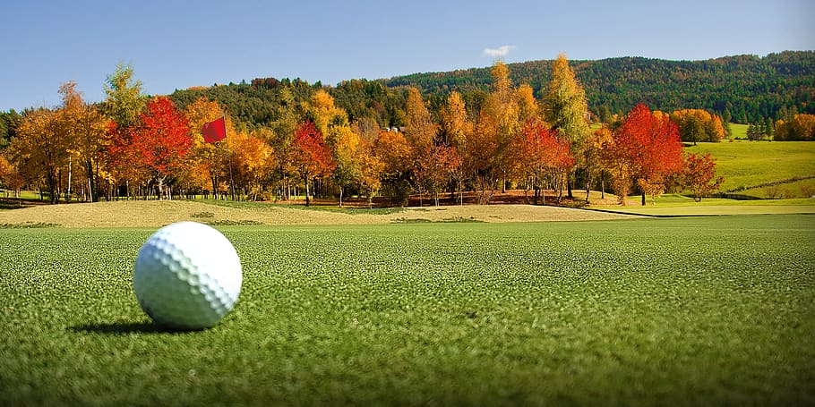 golfe, bola de golfe, papel de parede, plano de fundo, bola, esporte, grama, verde, tee, esportes