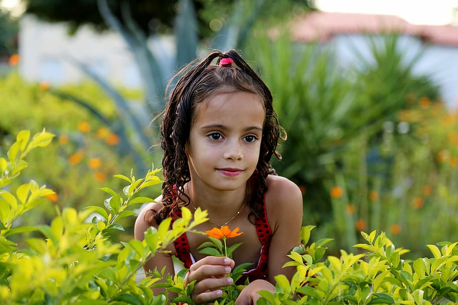 niña, tenencia, naranja, flor de pétalos, niña en el jardín, modelo, familia, hierba verde, vestido rojo, jardín