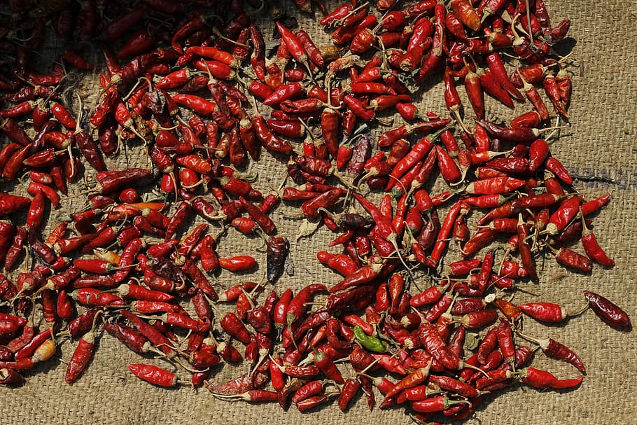 red, chilli, spices, asian, food, healthy, ingredient, spicy, colourful, cooking
