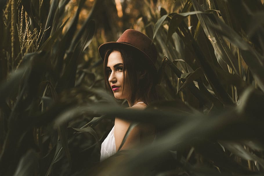 seletiva, foto de foco, mulher, em pé, campos de milho, pessoas, menina, sozinho, chapéu, moda