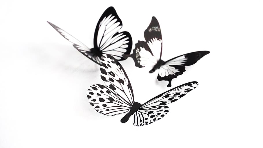 kupu-kupu, kerajinan tangan, siluet, seni, desain, hitam dan putih, terisolasi, objek, latar belakang putih, sayap hewan