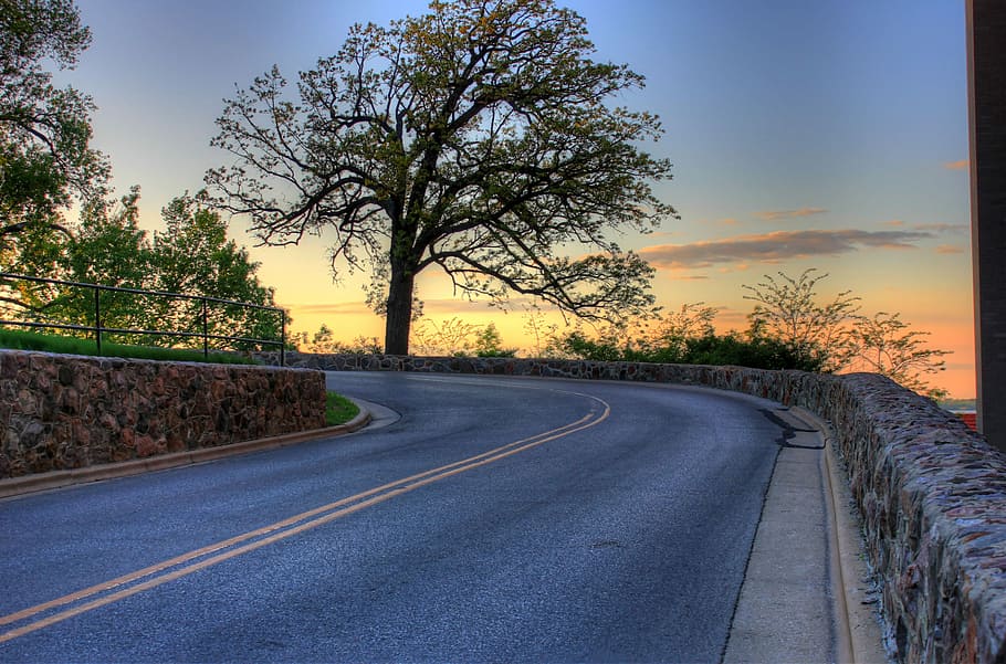 curving, road, madison, wisconsin, Sunset, Madison, Wisconsin, landscape, nature, tree, asphalt