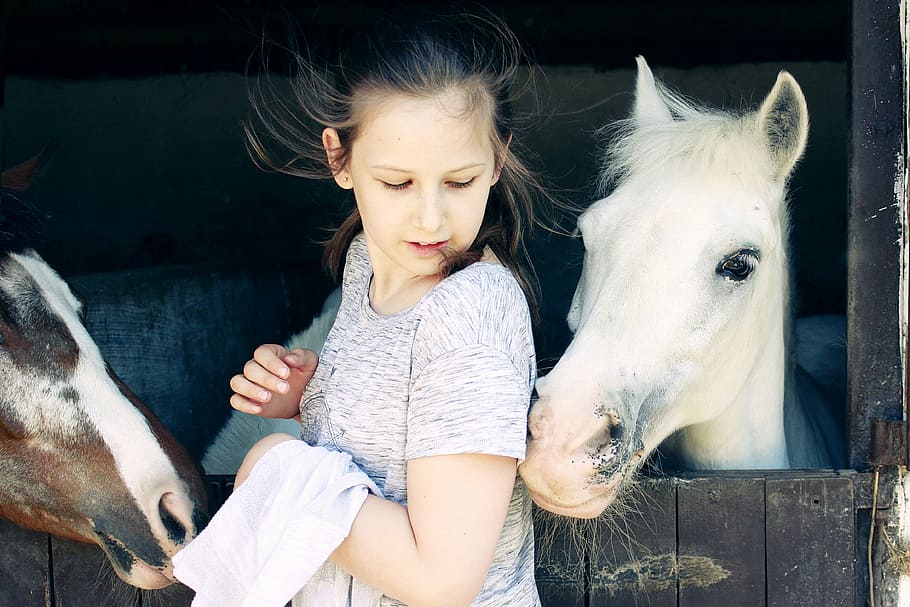 garota, dois, cavalos, crianças, ao ar livre, animais, branco, linda, mamífero, animais domésticos