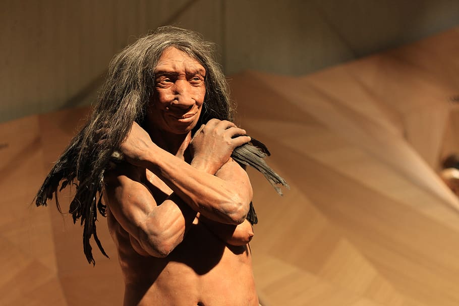 neanderthal, stone age, caveman, museum, figure, one person, hairstyle, front view, long hair, portrait