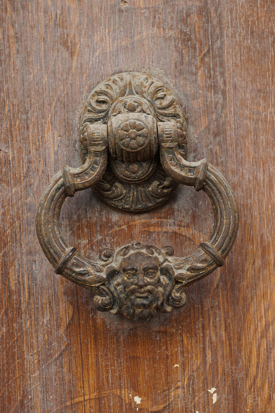 door, flying, knocker, entrance, wood - material, door knocker, metal, ornate, art and craft, close-up