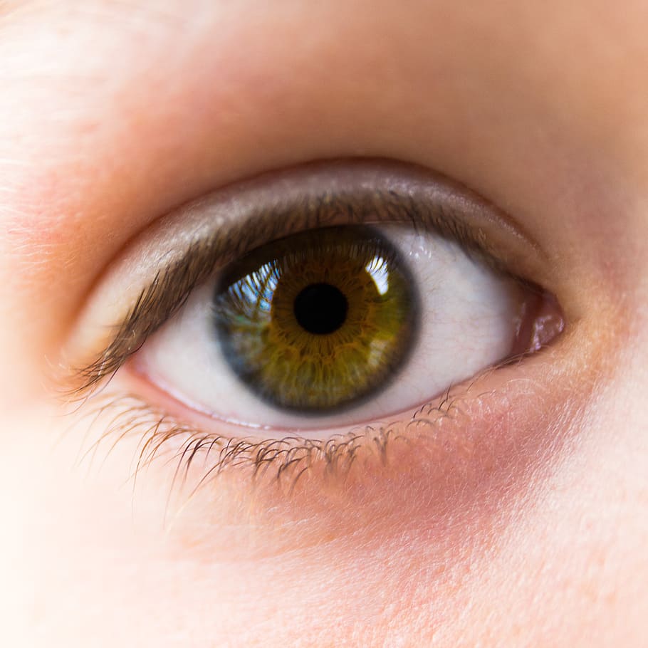 eye, green, brown, open, look, close, human body part, body part, human eye, eyesight