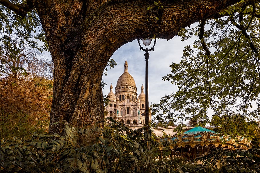 París, Montmartre, Sagrado Corazón, Francia, basílica, monumento, viaje, árbol, planta, arquitectura