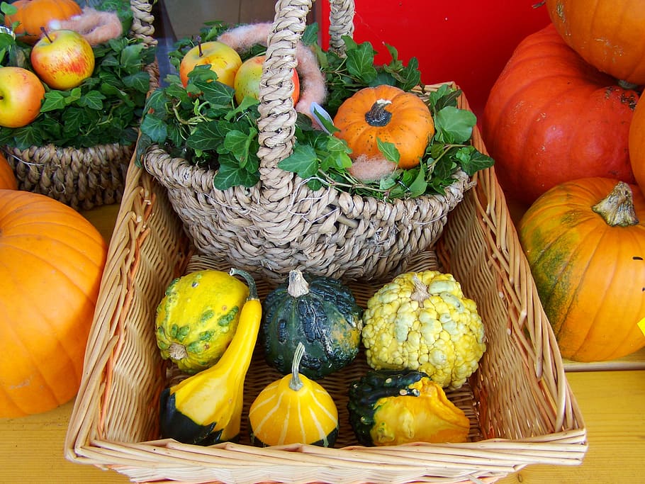 colorful pumpkins, mixed pumpkin harvest, fall harvest, healthy eating, vegetable, food and drink, food, pumpkin, choice, wellbeing