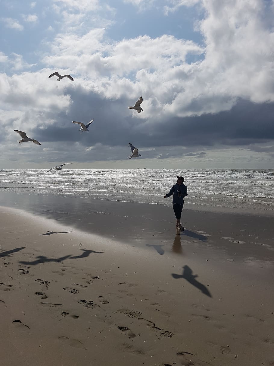 beach, gulls, sea, man, sand, water, footprints, sky, clouds, feed