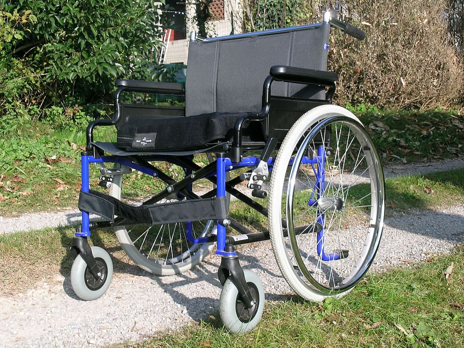 silla de ruedas, discapacidad, ayudas para personas con discapacidad, planta, césped, día, transporte, naturaleza, campo, rueda