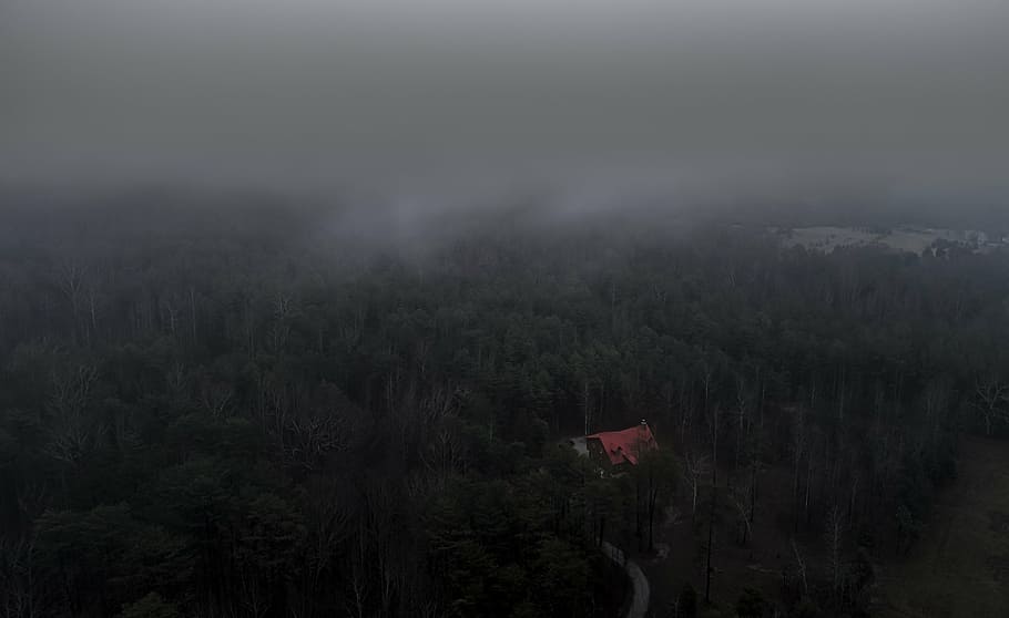 red, roof house, surrounded, forest, aerial, fog, woods, dark, house, home