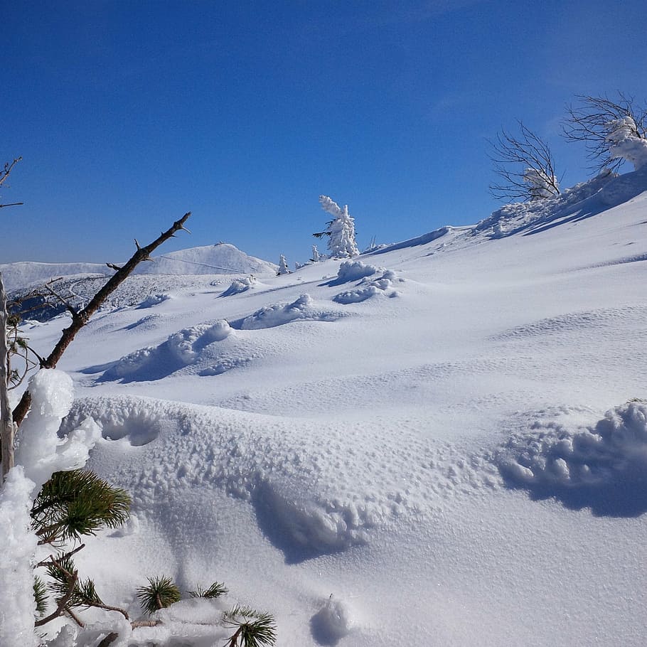 winter, krkonoše giant mountains, snow, winter in the mountains, view, szklarska poręba, szrenica, karpacz, mountains, landscape