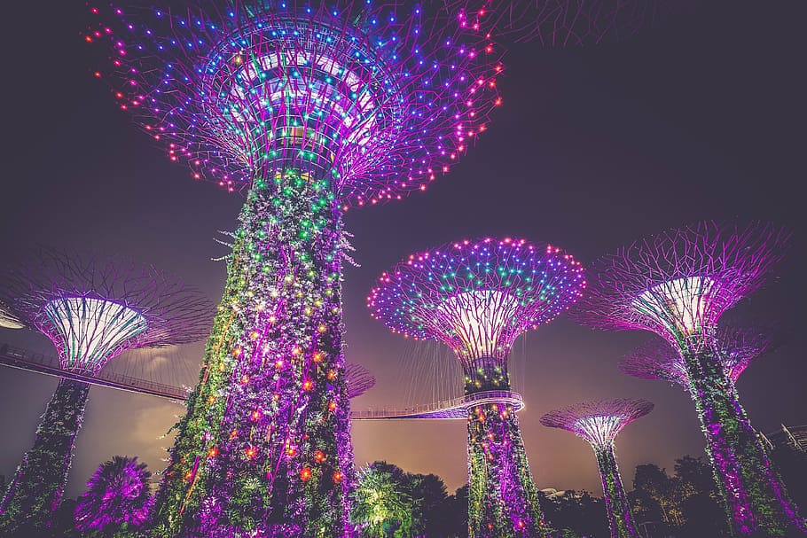 low, angle photography, towers, lights, night time, artificial trees, illumination, buildings, colorful, architecture
