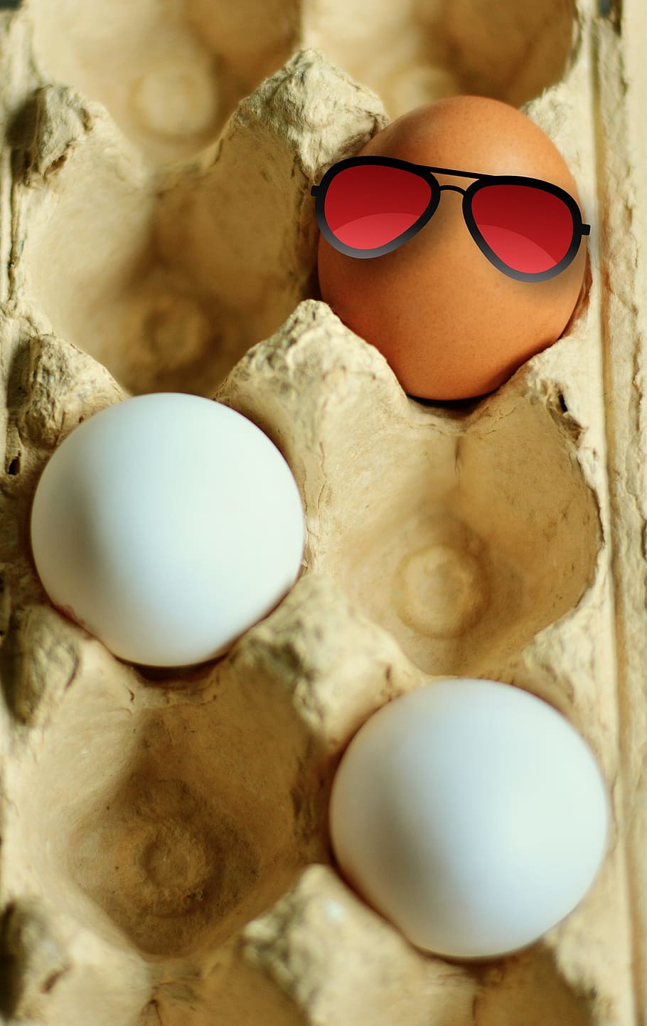 tres, huevos, bandeja de huevos, huevo, huevo de gallina, huevos marrones, huevos blancos, colorante, cartón de huevos, huevo crudo