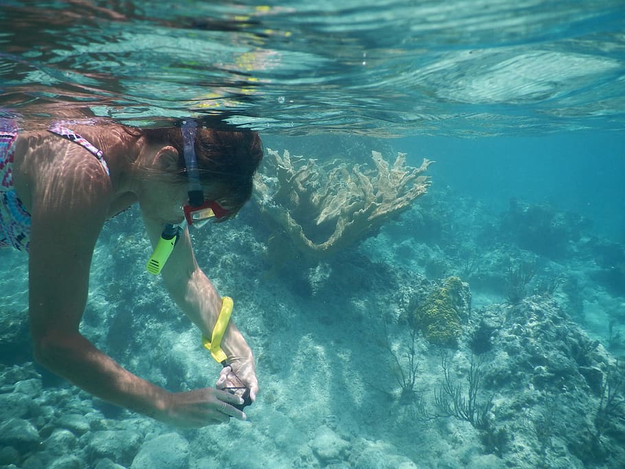 Snorkel, Coral, Underwater, swimming, one person, water, nature, day, sea, undersea